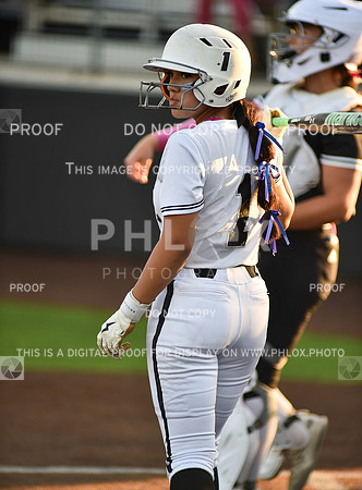 Lady Wildcats softball (173)
