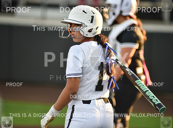 Lady Wildcats softball (174)