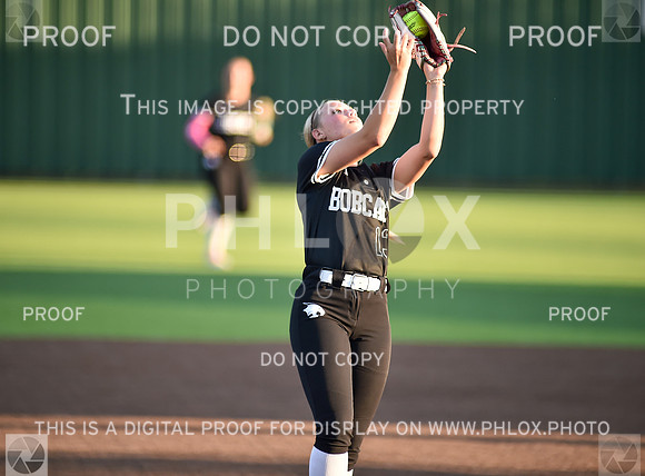 Lady Wildcats softball (180)