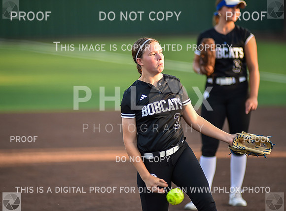 Lady Wildcats softball (203)