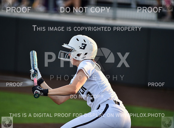 Lady Wildcats softball (204)