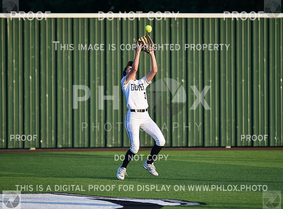 Lady Wildcats softball (218)