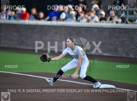 Lady Wildcats softball (220)