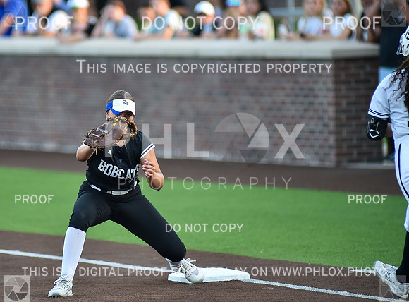 Lady Wildcats softball (234)