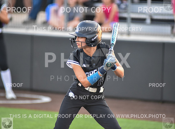 Lady Wildcats softball (239)