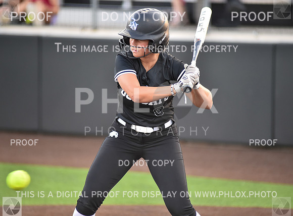 Lady Wildcats softball (242)
