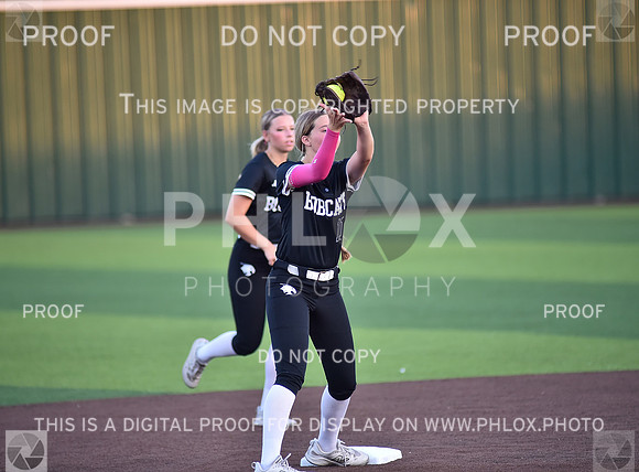 Lady Wildcats softball (245)