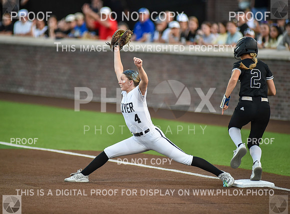 Lady Wildcats softball (250)