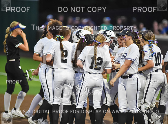 Lady Wildcats softball (264)