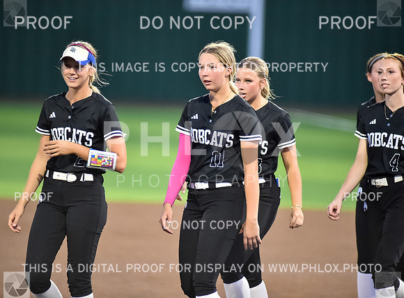 Lady Wildcats softball (274)