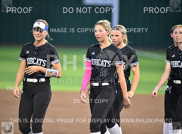 Lady Wildcats softball (273)