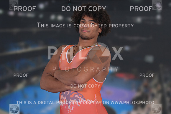 DLS_9817