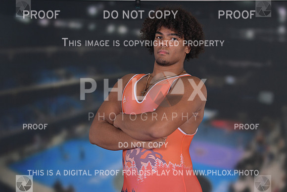 DLS_9816