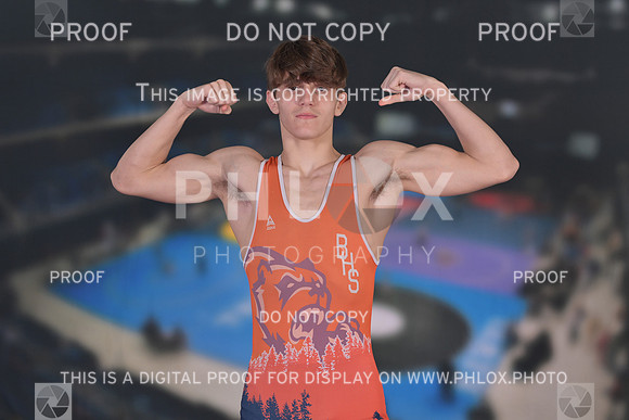 DLS_9823