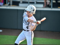 Lady Wildcats softball (116)