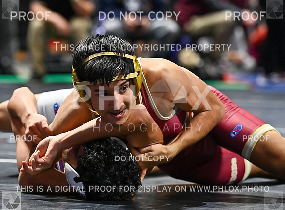 DLS_7015