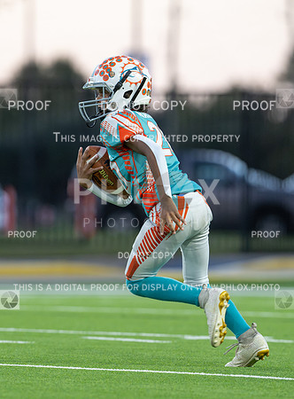 4pm Jv-Bears (V) vs Dolphins (H)-134