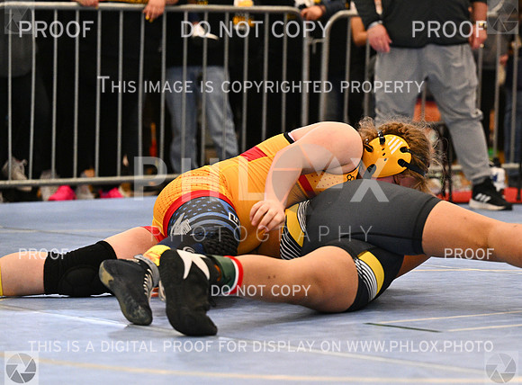 DLS_1273