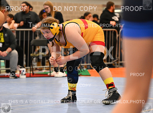 DLS_1209
