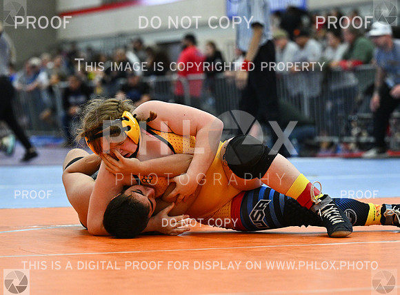 DLS_1110