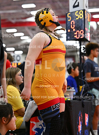 DLS_1019