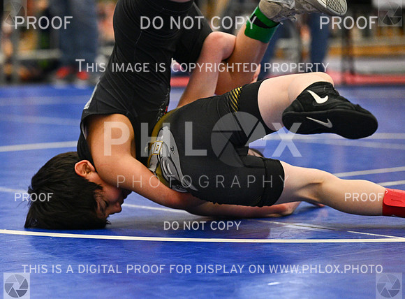 DLS_1698