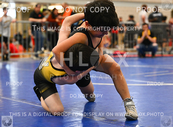 DLS_1673