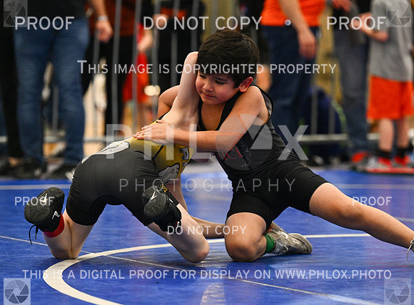 DLS_1618
