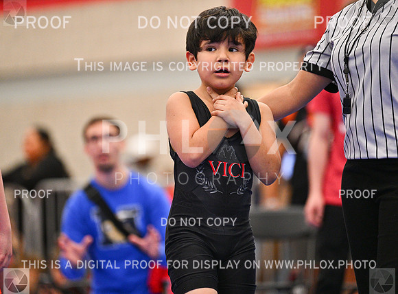 DLS_0209
