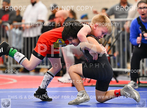 DLS_0198