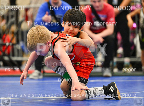 DLS_0195