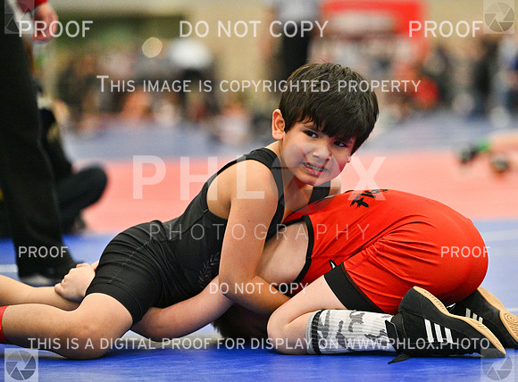 DLS_0179