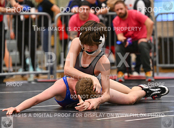 DLS_3899