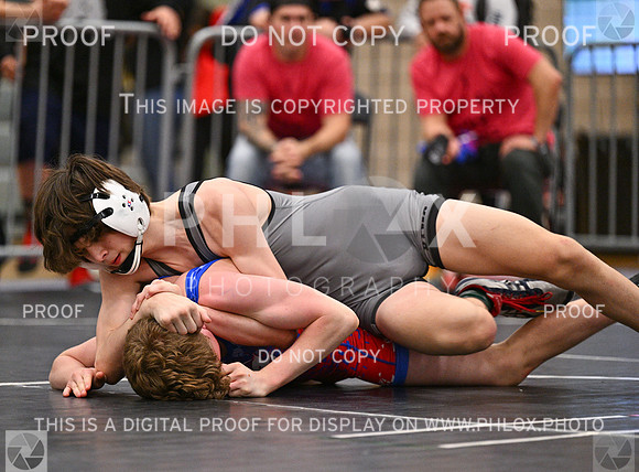 DLS_3901