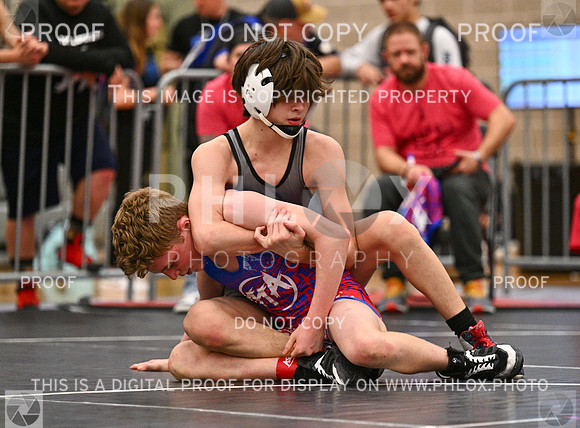 DLS_3906