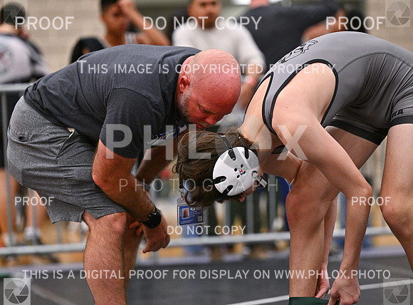 DLS_3850