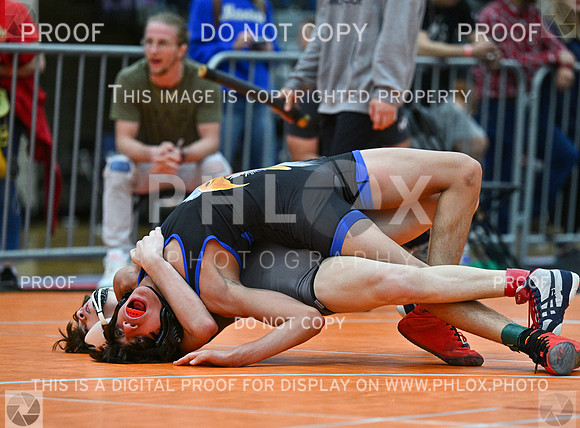 DLS_3113