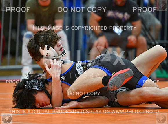DLS_3110