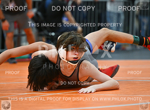 DLS_3134
