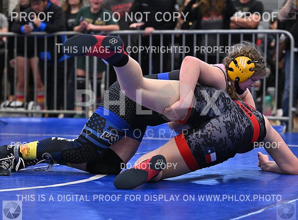 DLS_5039