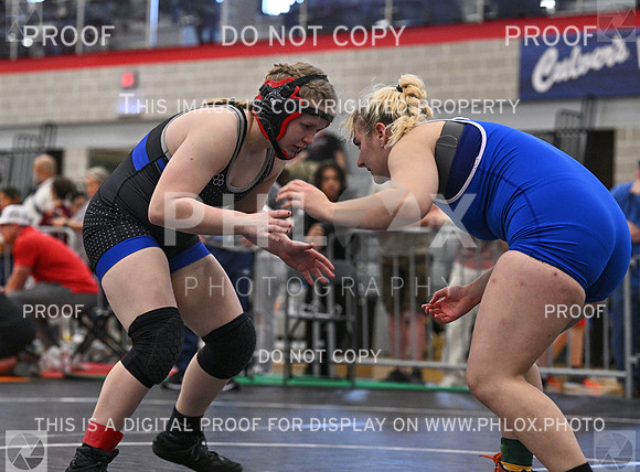 DLS_4956
