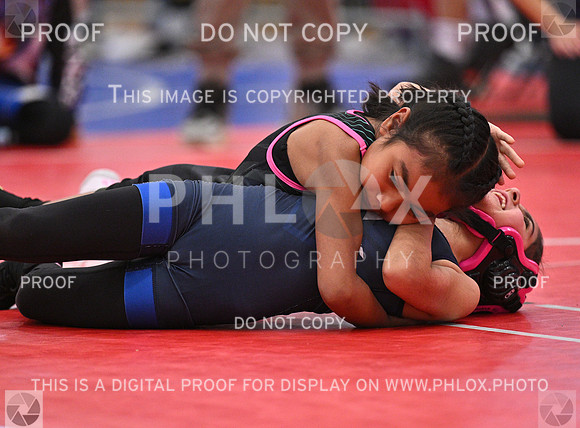 DLS_4279