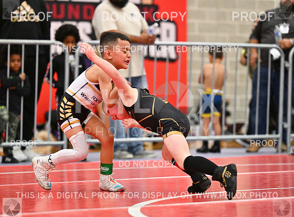 DLS_2409