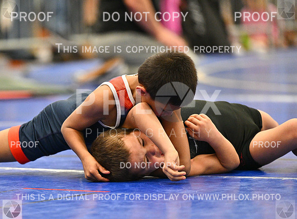 DLS_2329