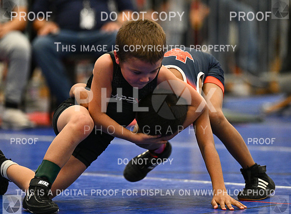 DLS_2322