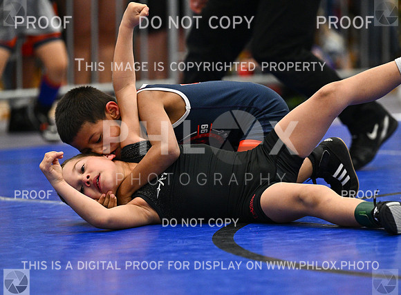 DLS_2312
