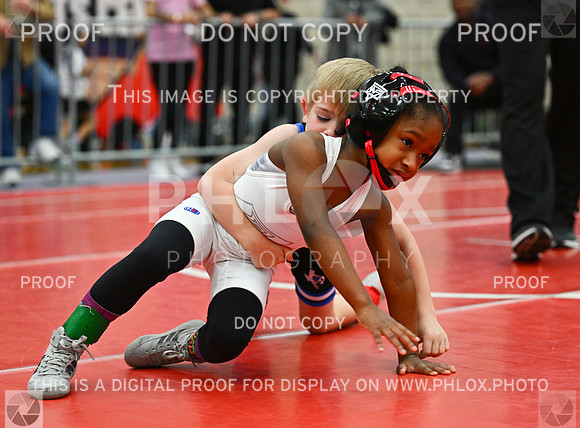 DLS_2302