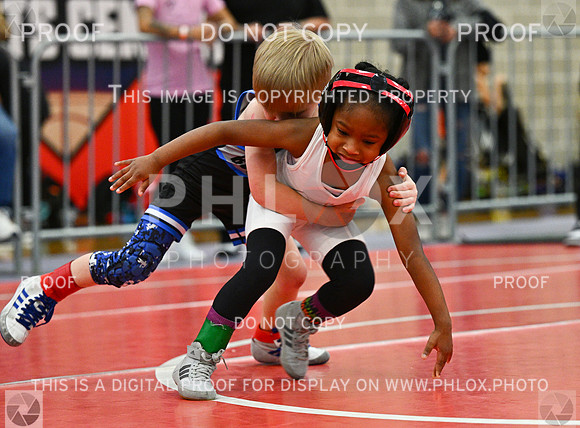 DLS_2298