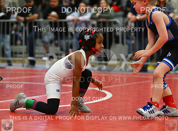 DLS_2308