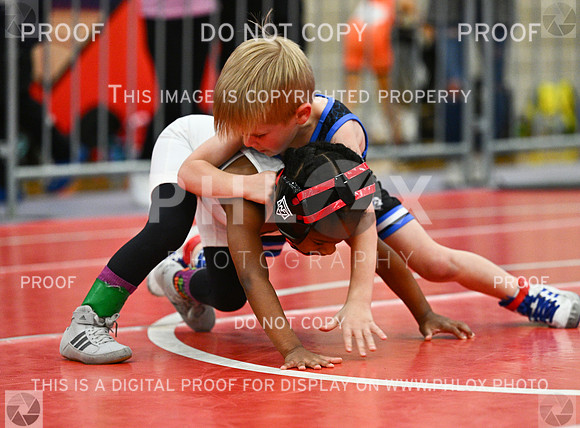 DLS_2297